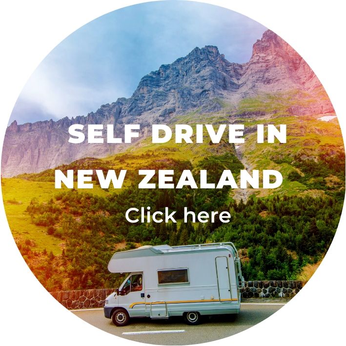 group self drive holiday in new zealand
