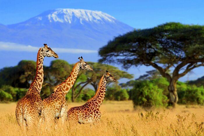 Private Family Tours in South Africa